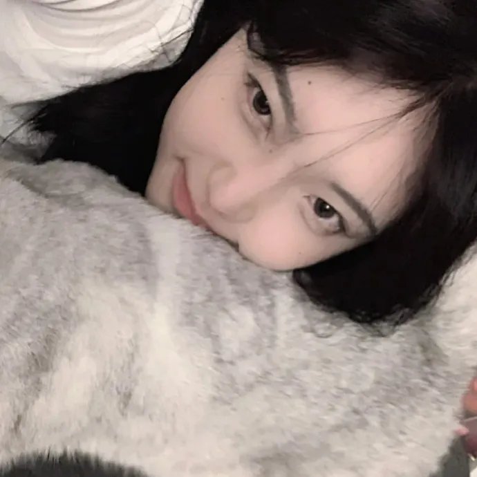 键盘猫